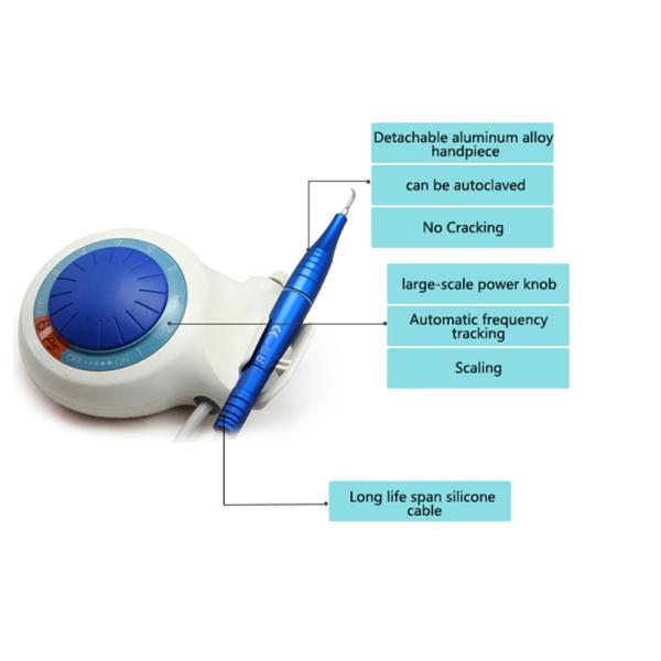 Подсказки отделяемое Autoclavable Handpiece и 6pcs инструмента пересчетки сплава H3 зубоврачебные ультразвуковые