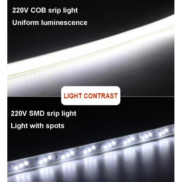 110V 220V Correa de luz LED a prueba de agua con pegamento de PVC personalizable Azul / Hielo Azul / Blanco / Verde / Púrpura / Dorado / Rosa