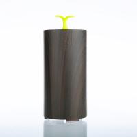Diffuseur d'huile essentielle de grain en bois de Dituo 5ml, machine de parfum de maison de RoHS