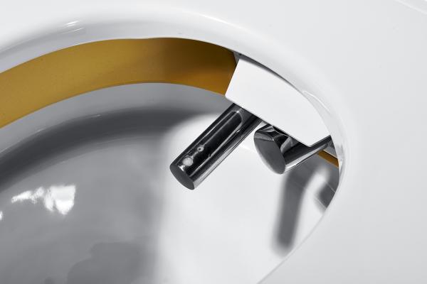Automatic Opening One Piece Toilet Warm Water Washing Function With Night Lamp