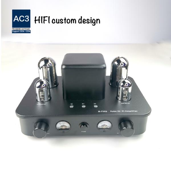 OEM Vacuum RoHS 35KHz 1000MV Mini Tube Amplifier