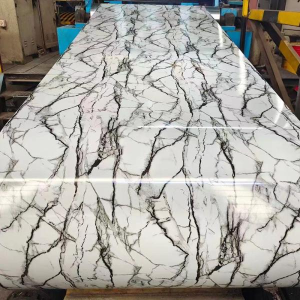 China Supplier Dx51d Z100 Z275 Pre Painted Zinc Coated Steel Coil Ppgi Color Coated Galvanized Steel Coil