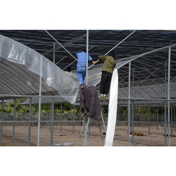 Без крыши вентиляции сельскохозяйственная теплица выращивание овощей одноразовая теплица
