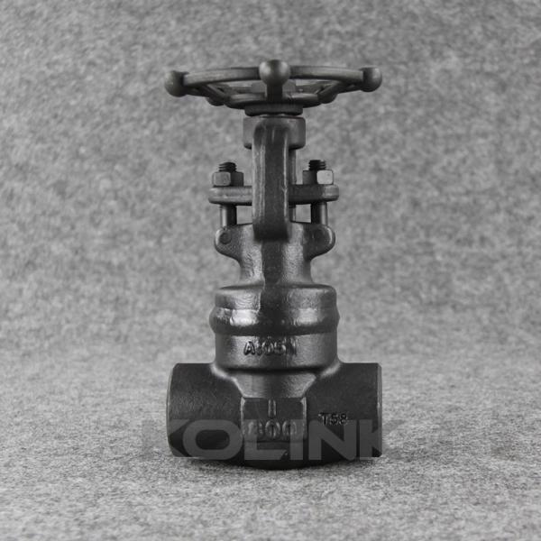 溶接ボネット 鋳造鋼球弁 800-2500 NPT ロープ付き