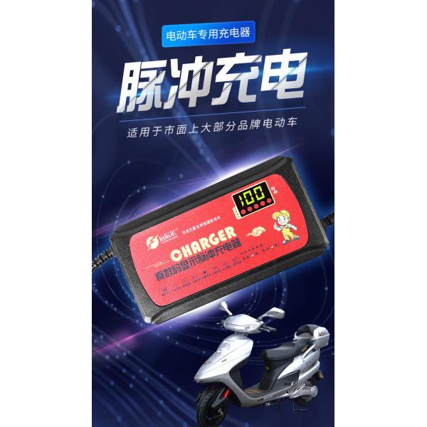 Output Voltage 48V Electric Bike Scooter Lead Acid Battery Charger for Private Mold Electric Bicycle 12AH/20AH/30AH/40AH