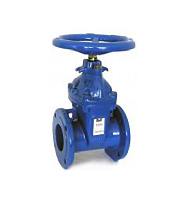 DN80 PN25 Cast Iron Flanged Gate Valve DIN Resilient Bolted Steam