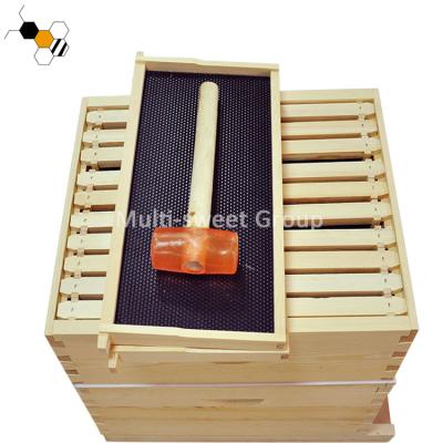 Colmeia Kit Apiculture Tools de Langstroth das caixas da apicultura