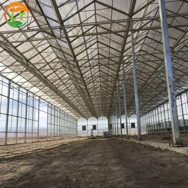 Venlo Polycarbonate Greenhouse for Flower and Vegetable Growing in Customized Color