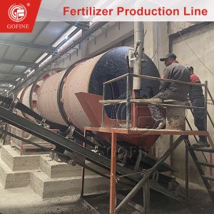 Drum Gear Chemical Granulation Production Plant for Sale | Customizable Capacity