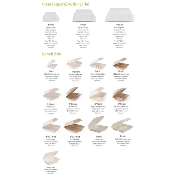 Sugarcane Bagasse Sushi Biodegradable Take Away Box Disposable For Restaurant