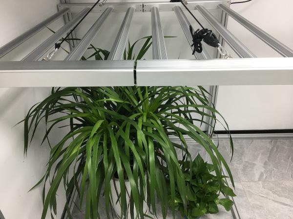 Commercial Grade 2.9umol/J 380nm Horticulture LED Grow Lights
