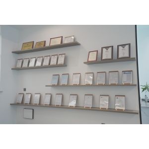 Ningbo Zhenpin Electrical Industry and Trade Co., Ltd.