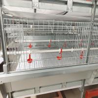 Ferme avicole Q235 3 - grilleur de cage de poulet de la batterie 4Tier multipliant l'utilisation
