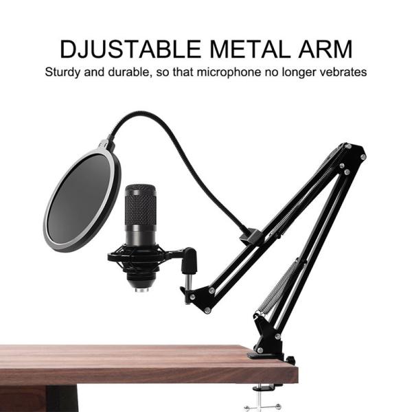 Two Screen POP Filters 20HZ Usb Microphone And Stand