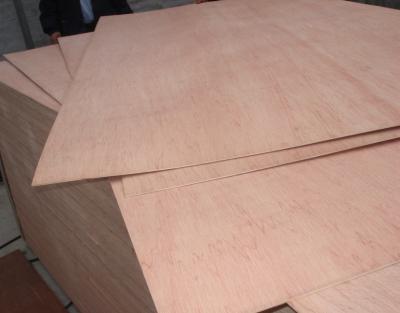 Packing grade plywood, plywood for packing use, cheap commercial plywood, poplar core plywood