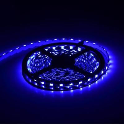 luz de tira 5050 do diodo emissor de luz do anjo SMD RGB do feijão 120º 3528 IP20/IP65 3 anos de garantia