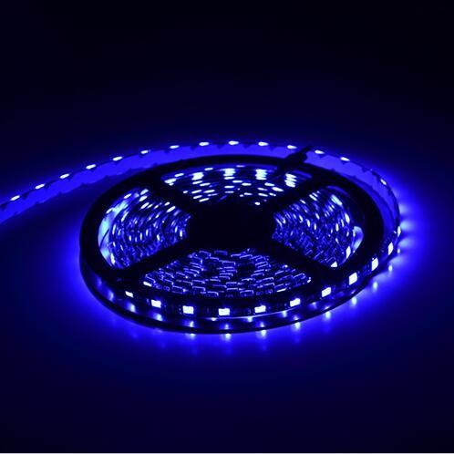 luz de tira 5050 do diodo emissor de luz do anjo SMD RGB do feijão 120º 3528 IP20/IP65 3 anos de garantia