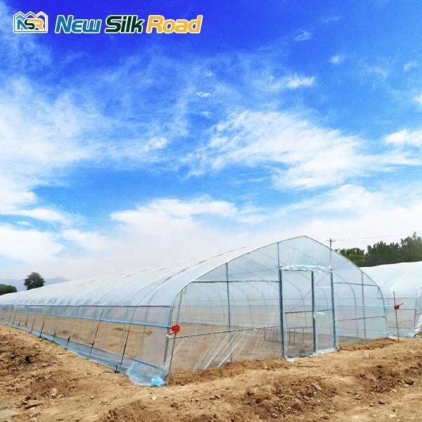 Small Agricultural Greenhouse Tunnel with Optional Cooling and Ventilation Systems