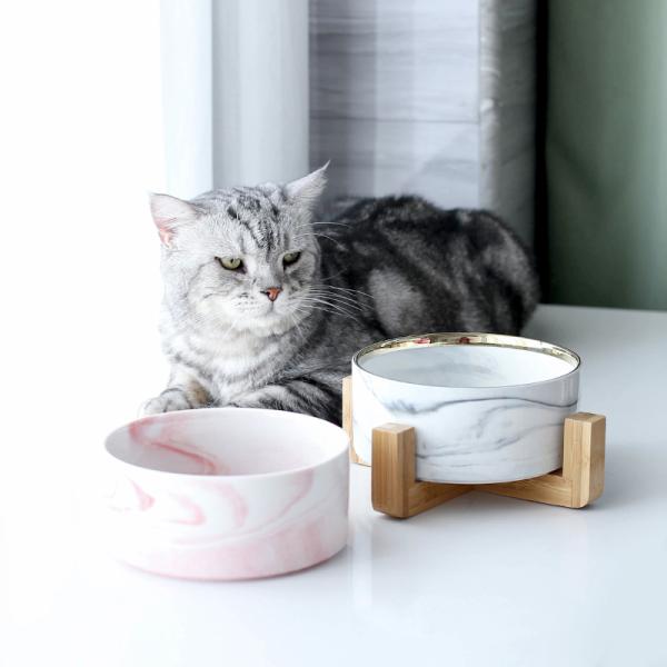 OEM ODM Elevated Cat Food Bowls Ceramic Pet Bowl Slow Feeder Dog Bowl Ceramic Dog Bowls Ceramic Cat Bowl