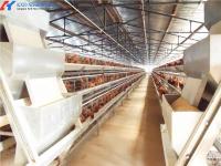 Un système de cage d'élevage de volailles à batterie à couche avec machine d'alimentation automatique
