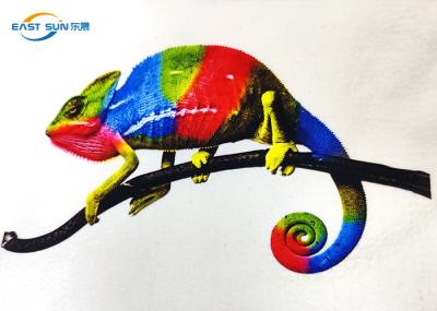 filme imprimível do ANIMAL DE ESTIMAÇÃO da transferência térmica A3 de 600mm para a impressão do Inkjet de DTF