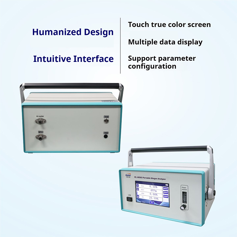 Portable Biogas Calorific Value Analyzer CO2 CH4 H2S O2 Methane Tester Gas Detector