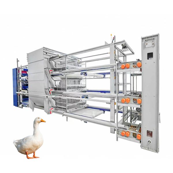 Fully Automatic H-Type duck Cage with Steel Construction in New Condition for
