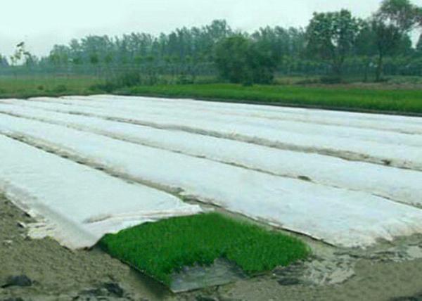 Certificação antienvelhecimento não tecida do GV da tela do polipropileno da agricultura