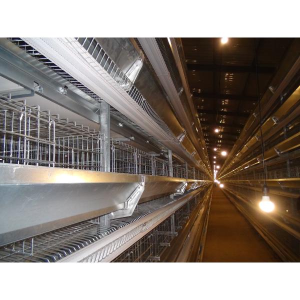 H Type Chicken Feeder Cage Animal Laying Chicken Cages For Broilers And Chicks