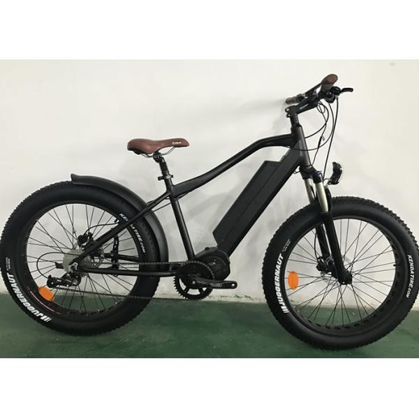 350w/36V Электровелосипед Эбике Горный велосипед Толстый велосипед Снежный велосипед Задний двигатель узла