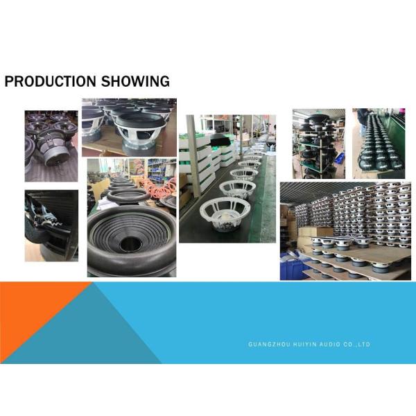 100W RMS Full Range Speaker