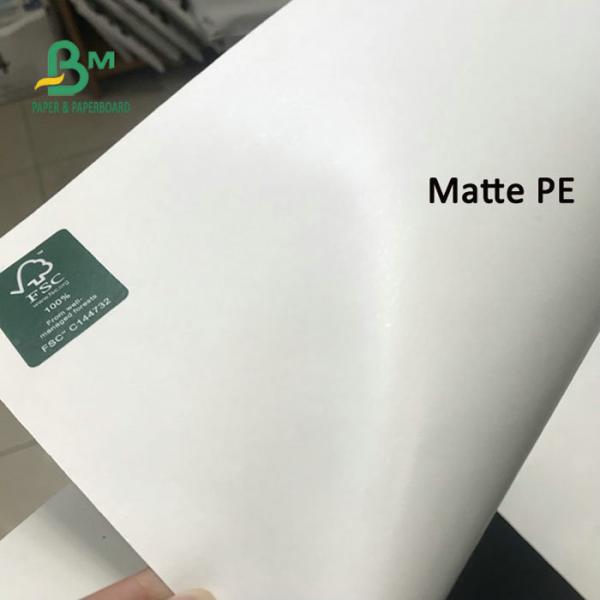 15g + 200g PE - Clay Coated Carton kraft Packing Paper Sheets 70 * 100cm