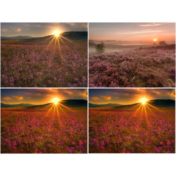 ФСК аттестовал бумагу Ролльс бумаги искусства 190гсм 200гсм 250гсм 300гсм высокую лоснистую/фото печатания струйную