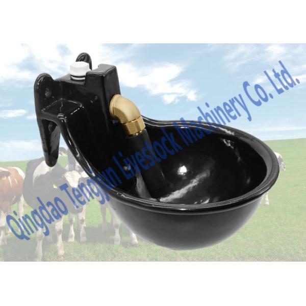 Farm Horse Water Feeder , Grey Cast Iron Automatic Drinkers For Horses