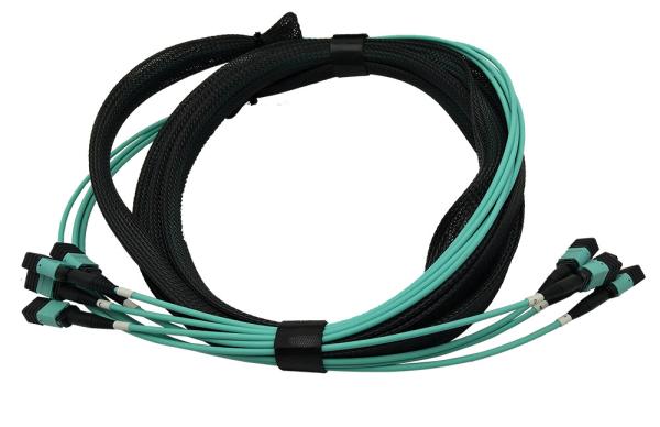 24 cabos dobro do tronco da bainha do núcleo MPO MTP OM4 5.5MM com cauda de 30cm