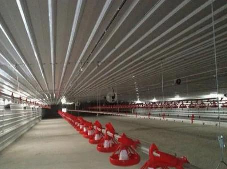 Steel Metal Frame Structure Prefab Chicken House Structure Farm Shed Q235 Q355