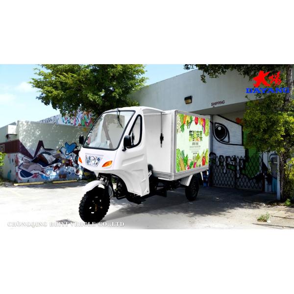 Three Wheel Refrigerator Cargo Tricycle with Iron Cabin and Hydraulic Rear Brake