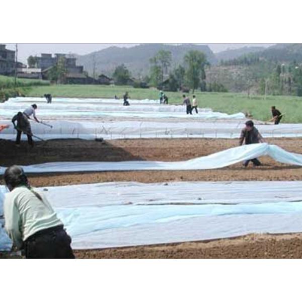 Прозрачная ткань ландшафта Spunbond Non сплетенная для крышки завода земледелия