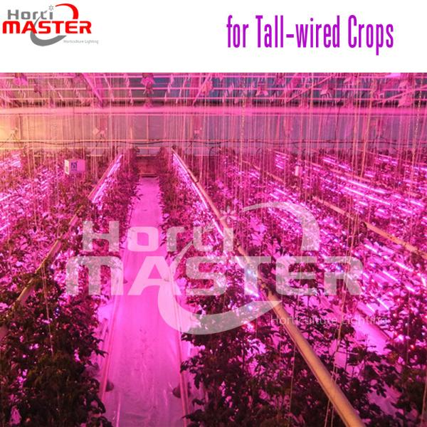 Anodizing VEG LED Grow Lights Bar 840W 50Hz Artificial Light For Outdoor Plants