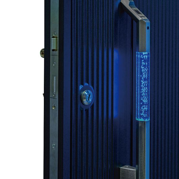 Modern Large Secure Pivot Entrance Door Firm Front Entry Doors For Villa