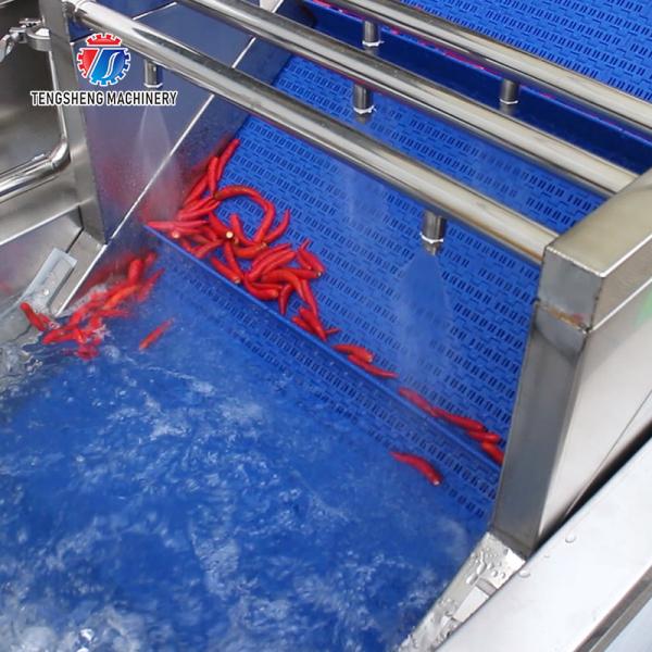 250KG Commercial fruit and vegetable brush cleaning machine air bubble cleaning machine multi-functional washing