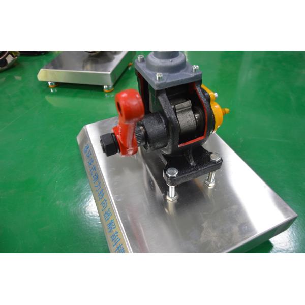 Recirculación de la bola de la potencia de la dirección del engranaje de corte modelo de ayuda de entrenamiento automotriz anatómica