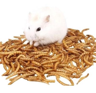 Sino Crown dried mealworms - a great source of vitamins and minerals