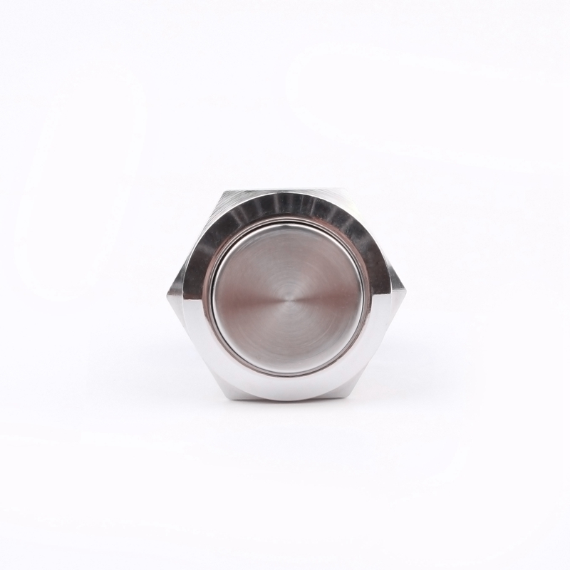 HONGYE HYBD19-PS Dia 19mm Stainless Steel Waterproof Push Button 3 Pin 1NO1NC IP65 Self-Locking Electronic Structure 250V LED