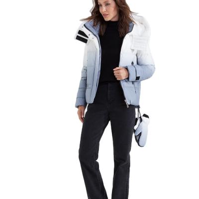 Wholesale High Quality FODARLLOY Wholesale Ladies Warm Hooded Cotton-Padded Clothes Women Winter Jackets