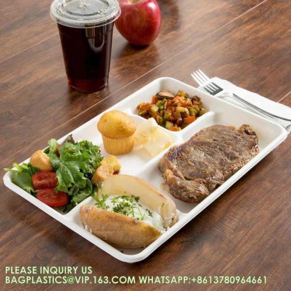 5 Compartment Snack Food Tray Sugarcane Bagasse Plate Disposable Plates Eco-Friendly White Natural Bagasse Plates
