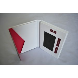 Video Mailer