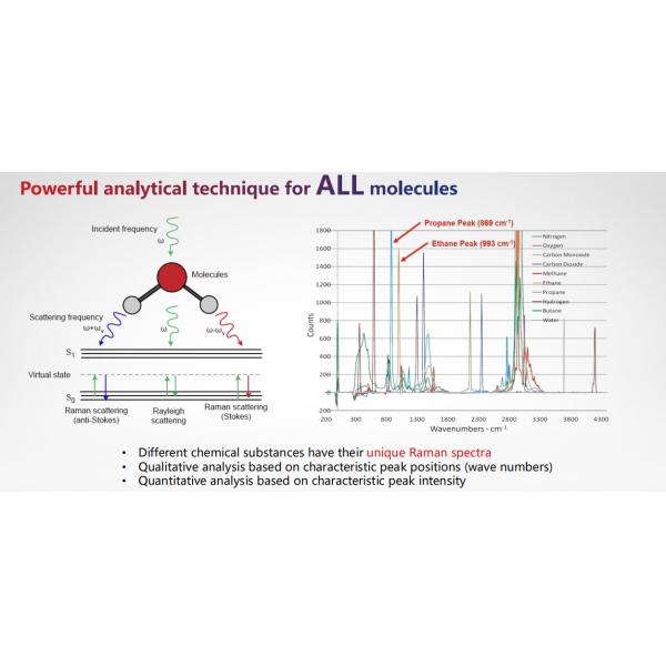 Solução de análise de gás em tempo real do analisador de gás Raman certificado ISO9001