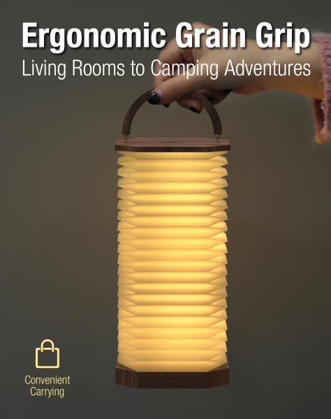 Rechargeable LED Gingko Smart Accordion Light Outdoor Camping Folded Paper Lamp