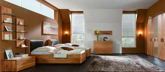 Décoration unilatérale de polissage de placage en bois de bouleau de haute catégorie avec la coupe rotatoire